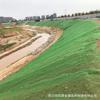 EM3 red de vegetación tridimensional protección de taludes verdes geotextil de drenaje HDPE red de vegetación plástica geotextil tridimensional