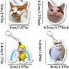 Amuletos de Bolso de Moda Transfronterizos Decoraciones Colgantes para Coche Llavero de Gato Meme Acrílico Universal