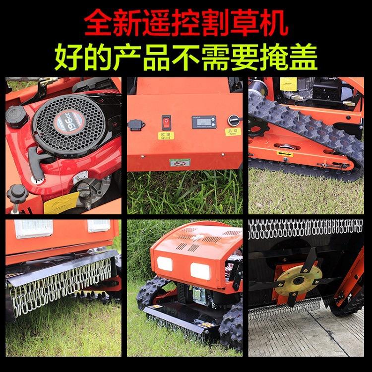 18631993398_1546770875