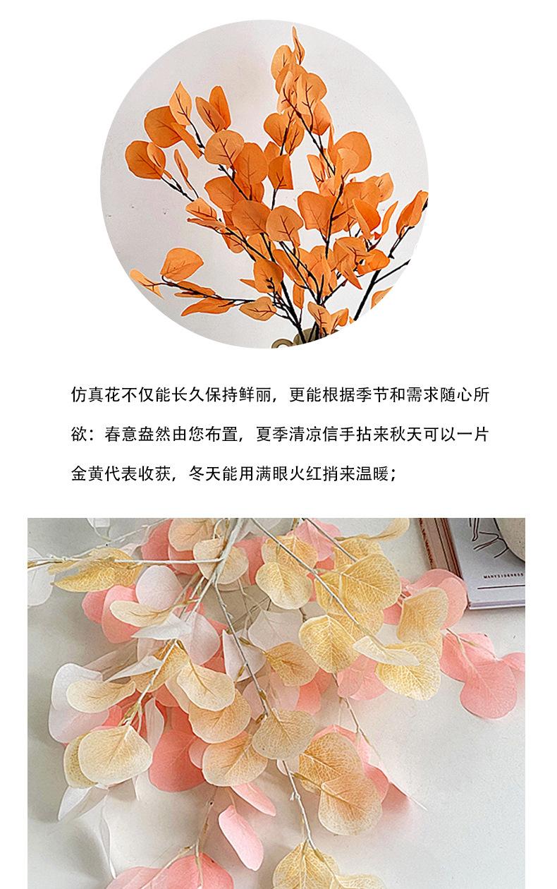 苹果叶详情_02.jpg