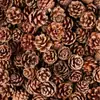 Pinha de Natal decoração de jardim de infância materiais artesanais infantis flor de pinho óleo de pinho flor seca foto anel de pinha para criar galhos