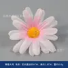Marco de Fotos de Flor Rosa Simulada Paquete de Materiales DIY Regalo Hecho a Mano para el Día de la Diosa Evento de Salón Tocador de la Dinastía Han