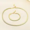 Stock de fábrica Acero de Titanio Estilo Indiferente Plano Suave Cadena de Hueso de Serpiente Conjunto Collar de Clavícula Oro 18k Cadena de Hueso de Serpiente Joyería para Mujer