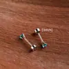 Pendientes de Acero Inoxidable con Circonita Redonda Multicolor Transfronterizos Europeos y Americanos Joyería de Perforación Simple y de Alta Gama Accesorios