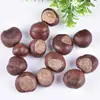 Fruta de Sorosolaceae al por mayor y dropshipping