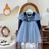 Vestido de Niña Primavera Nuevo Estilo 2026 Moda Vestido de Cumpleaños para Bebé Niña con Forro Polar y Grueso Vestido de Princesa Elsa Moderno