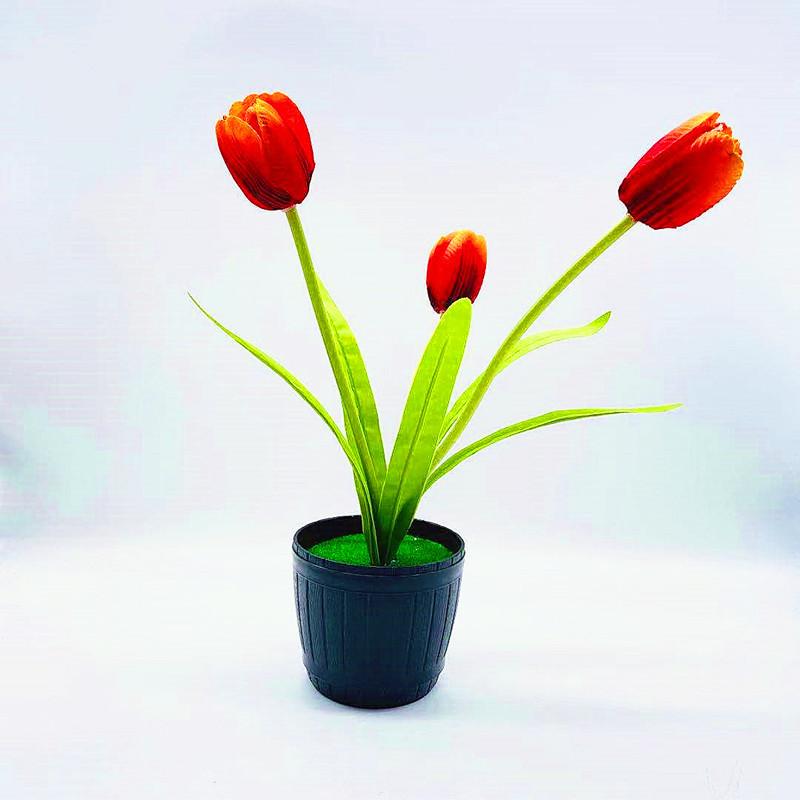 微信图片_20211001170547_副本