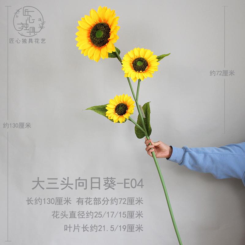 大三头向日葵 E04