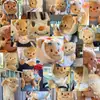 Adesivos Fofos e Adoráveis de Urso Manteiga, Acessórios de Pelúcia Desenho Animado, Decoração DIY para Capas de Tablet e Celular