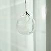 Garrafa de vidro transparente para pendurar em micro paisagem atacado para plantas hidropônicas bola de vidro hidropônica decoração suspensa aérea layout de cena