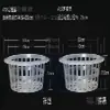 Cesta de Plantio Hidropônico, Cesta de Fixação de Plantas para Cultivo em Solo, Cesta de Flores para Vaso de Vidro, Recipiente Hidropônico, Dispositivo de Fixação para Raiz de Rabanete Verde e Bambu da Sorte