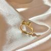2025 Nuevo Anillo Incoloro de Acero de Titanio Anillo para Mujer Diseño Nicho de Lujo Ligero Anillo de Dedo Índice de Alta Gama Anillo de Cola Venta al por Mayor