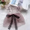 Ropa para Mascotas, Vestido de Encaje de Lunares para Perro, Vestido de Princesa Transpirable con Protección Solar, Ropa para Gatos, Lindo y Dulce