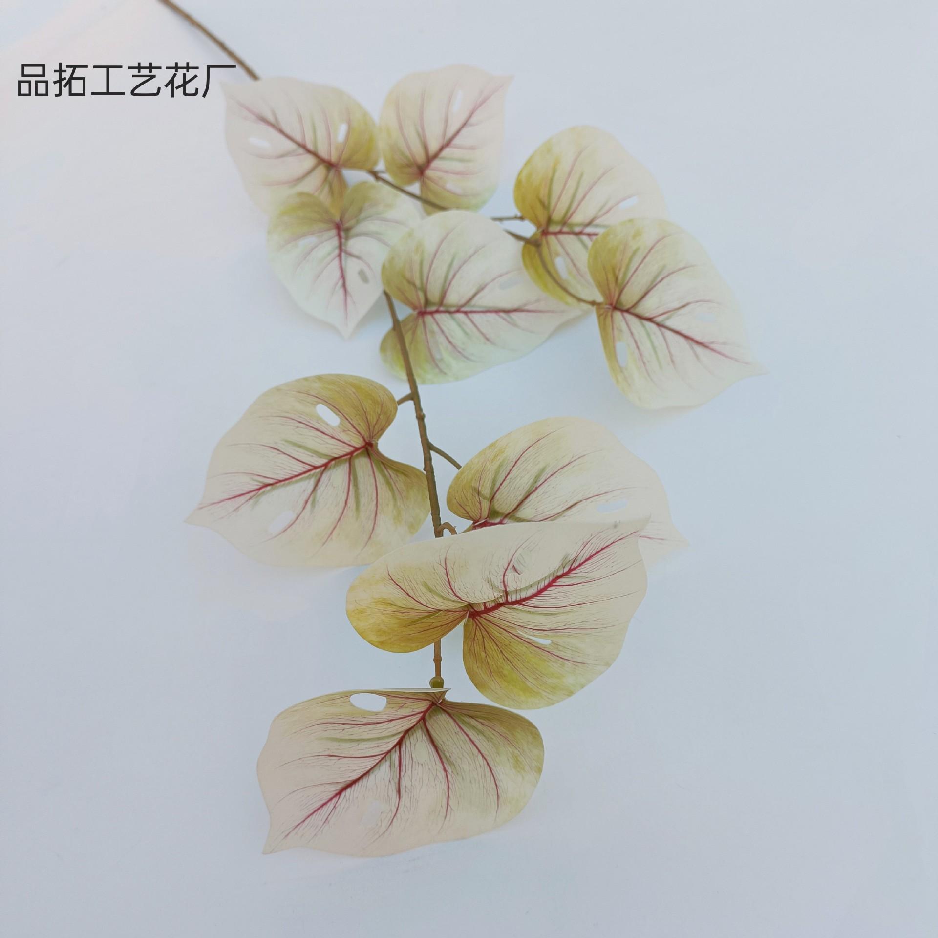 a0a8e20ee4968c8d5ad19206683b9e