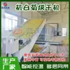 Secador de Crisantemo Blanco Hangzhou de Cinta de Malla, Secador Grande de Crisantemo Blanco Pequeño a Gas, Secador de Crisantemo Totalmente Automático