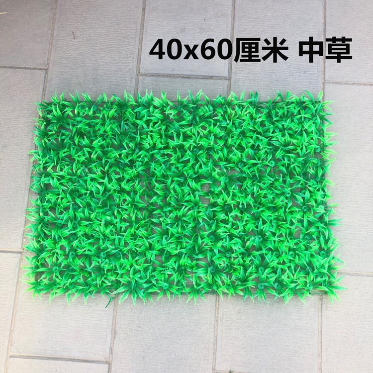 微信图片_20200615222743