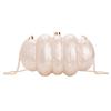 Comercio Exterior Transfronterizo Bolso Nuevo de Presión para Mujer Bolso Acrílico Bolso de Noche de Un Hombro Cruzado Clutch de Cadena para Banquete de Boda