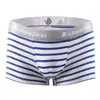 Cueca Masculina da Moda Cueca Boxer Masculina Cueca Listrada Algodão Stenty Esportiva Shorts de Cintura Baixa Juvenil Shorts Quatro Cantos