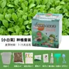 Plantas en Maceta Hechas a Mano para Niños Estudiantes de Primaria para Observar el Crecimiento de las Plantas Cultivo y Germinación DIY Mini Plantas Verdes en Maceta
