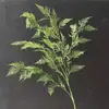 Plantas Verdes de Espárrago Colgante Simuladas Bosque Salón de Bodas Diseño Fiesta de Banquete Escenario Decoración Plantas Verdes Muro de Plantas Hojas de Helecho