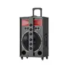 Plaza Xianke Baile en Línea Audio Karaoke al Aire Libre Carrito Tarjeta de Sonido Móvil Bocina Bluetooth Tarjeta de Sonido Profesional Alto Volumen Graves