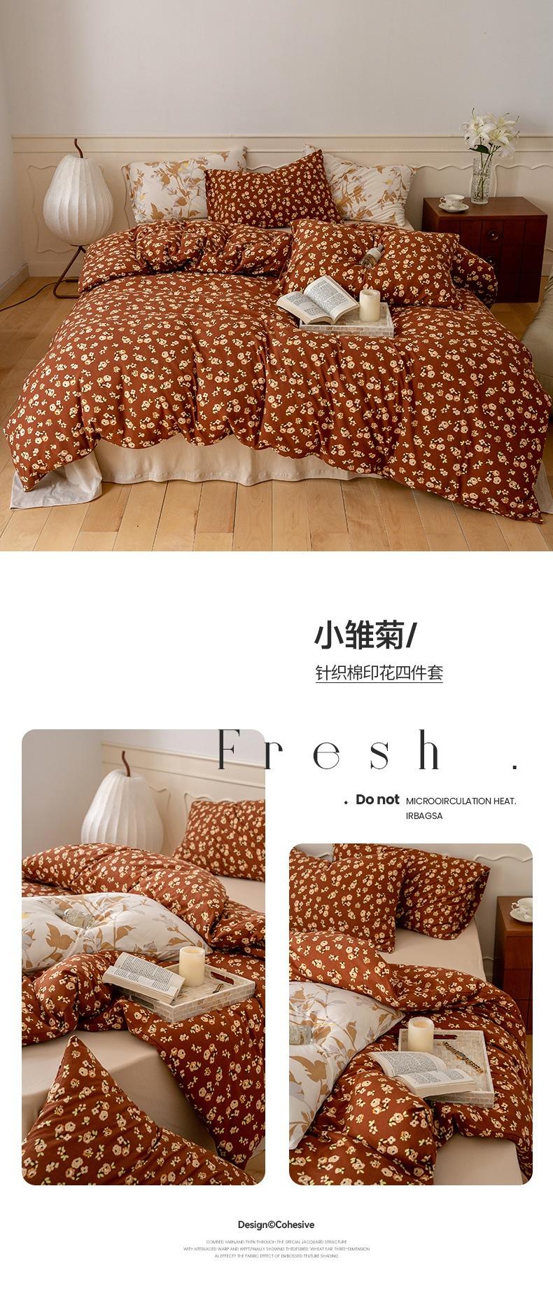 小雏菊.jpg