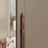 Manijas de Placa de Aluminio para Hotel, Manijas de Puerta para Salón de Banquetes de Club, Puertas de Cristal sin Marco de Doble Apertura, Acero Inoxidable