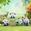 Adornos de Escritorio Creativos de Dibujos Animados, Dulce y Genial Panda Amor-Temático Celebridad de Internet Caja Misteriosa Regalo de Cumpleaños Recuerdo