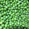 Suministros del Fabricante Guisantes Verdes Congelados Rápidamente para Catering, Guisantes Congelados Rápidamente para Catering, Guisantes Verdes Dulces Congelados Rápidamente
