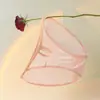 2026 Nuevas Bragas de Encaje Sexy Puro Deseo para Mujeres, Calzones Triángulo Simples Cómodos Transpirables de Hada de Cintura Baja para Niñas Hermosas