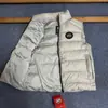 Suministro Transfronterizo de Chalecos Clásicos de Algodón Brillante, Chalecos Acolchados para Hombre y Mujer, Chaquetas de Invierno Cómodas y Cálidas