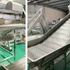 Máquina Limpiadora y Elevadora de Brotes de Frijol, Máquina Limpiadora y Elevadora de Brotes de Frijol Comercial, Máquina Limpiadora y Elevadora de Brotes de Frijol Grande