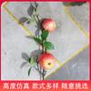 Boda Frutas Artificiales Bayas Flores Falsas Al por Mayor Estilo Chino Decoración del Hogar Ramas de Fruta de Caqui Árboles Frutales Falsos Alta Simulación