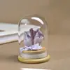 Racimo de Cristal de Amatista Natural Botella de los Deseos Muestra de Mineral Artesanías de Cristal Paisaje en Miniatura Adornos Decorativos Creativos