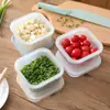 Caja de Conservación para Cebolleta Cocina Jengibre Ajo Cilantro Refrigerador Plástico con Tapa Fruta Japón Drenaje Sellado Caja de Almacenamiento para Rodajas de Jengibre