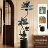 Planta Artificial Verde Black Diamond con un Toque de Lujo para Decoración de Sala de Estar, Planta de Interior Grande en Maceta, Árbol Falso y Planta Artificial