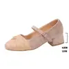 Zapatos de Mujer Estilo Hada 2025 Primavera Nuevos de Moda Versátiles Elegantes Tacones Gruesos para Combinar con Vestidos Zapatos de Correa Única