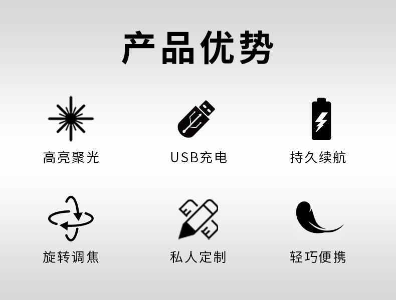 USB充电303激光手电