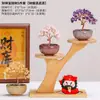 Árbol de la Fortuna de Cristal Natural para la Riqueza, Adorno Decorativo para Sala de Estar, Entrada, Oficina, Escritorio, Regalo Creativo, Árbol de la Fortuna