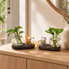 Novo ornamento de pesca de gato para decoração de mesa de escritório, garrafa de vidro hidropônico, presente criativo, pequeno ornamento de mesa