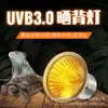 Mascota Reptil Tortuga Bombilla de Sol de Espectro Completo UVA UVB para Banear la Espalda Lagarto Serpiente Mascota Trepadora Bombilla para Banear la Espalda