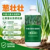 Cebolleta Fuerte Fuerte Grande Cebolleta Especial Fertilizante Incrementador de Rendimiento Promotor de Raíces Plántula Fuerte Punta Amarilla Seca Hoja Amarilla Cebolleta Jengibre Ajo Fertilizante Universal Soluble en Agua Venta al por Mayor