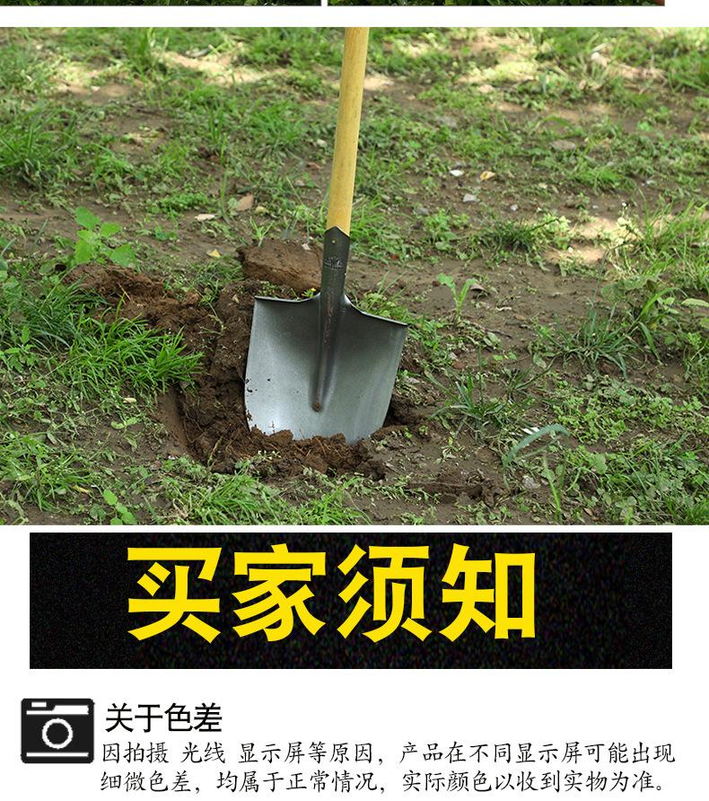 详情_17.jpg