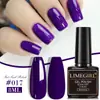 2025 Nuevo Pegamento para Esmalte de Uñas Transfronterizo Venta al por Mayor Salón de Uñas Set de Pegamento Especial Fotorresistente Macaron con Logo Fijo