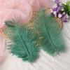 Venta al por mayor de fábrica 25-30cm pluma de avestruz accesorios de pluma de avestruz accesorios pluma de boda