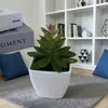 Maceta Cuadrada de Suculentas Artificiales Transfronteriza Mini Adornos en Maceta Decoración de Entrada del Hogar Sala de Estar Flores Falsas y Plantas Verdes Perezosas Bonsái