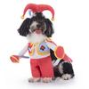 Fantasia de Vestir para Cão de Estimação Roupa de Cosplay Abóbora de Halloween Roupa de Pé Fantasia Engraçada de Vestir para Cão de Estimação