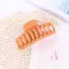 Presilha de Cabelo Estilo Japonês e Coreano Celebridade da Internet Presilha para Rabo de Cavalo Adulto Nova Grande Colorida Fosca Cabine de Lavagem Cosmética