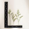 Grama do Amante Absorvente de Cor Flor Seca Natural Convite Marcador de Página Porta-Retrato Cravejado Miosótis Flor Eterna Flor Ornamental Decoração de Casa