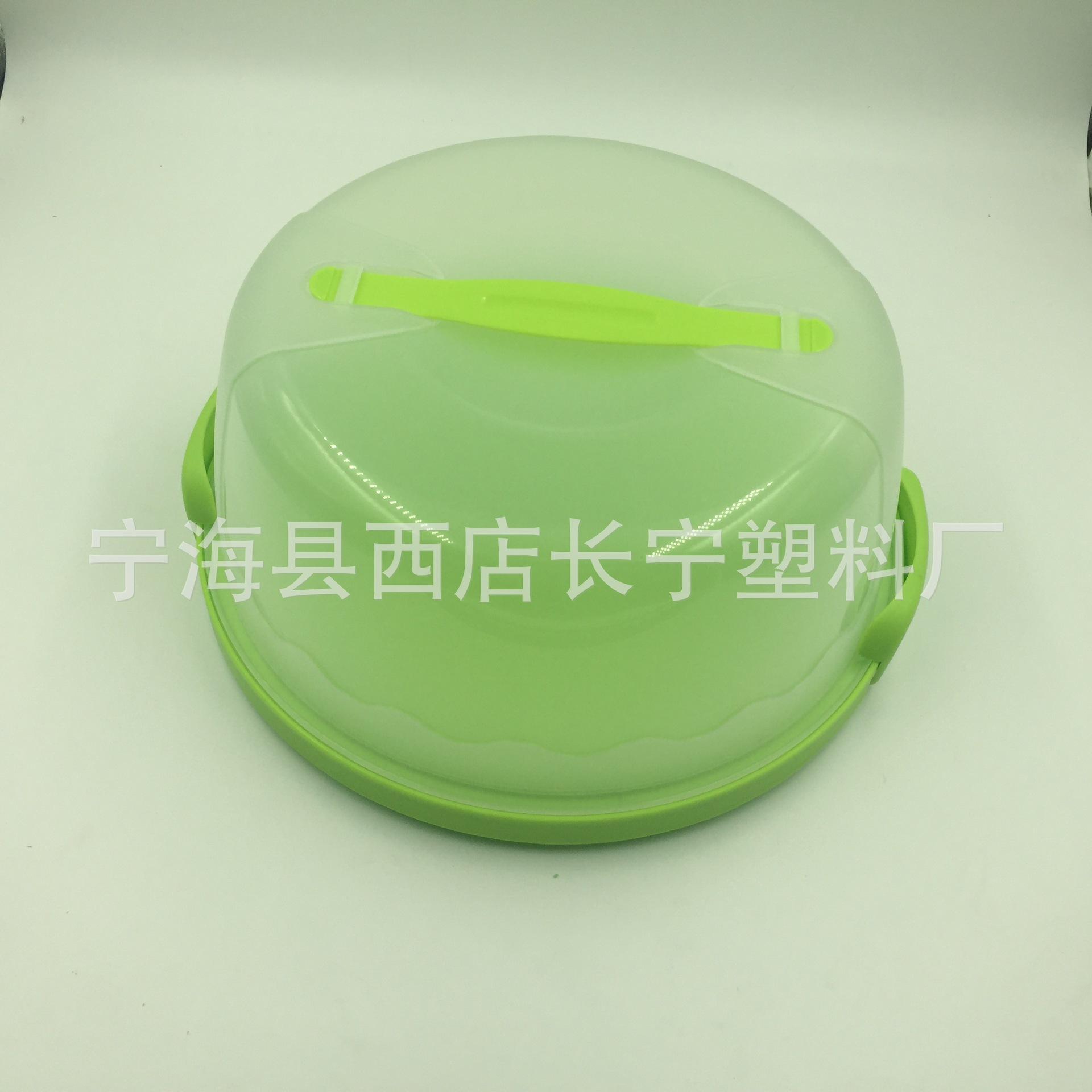 照片 005